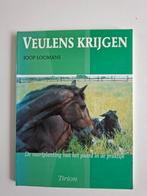 J. Loomans - Veulens krijgen, Boeken, Ophalen of Verzenden, Zo goed als nieuw, J. Loomans