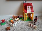 Duplo manege, Kinderen en Baby's, Speelgoed | Duplo en Lego, Duplo, Ophalen of Verzenden