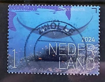 2024, NVPH 4200 - Onderwaternatuur Bonaire-Reuzemanta {A253} beschikbaar voor biedingen