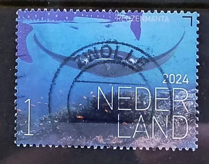 2024, NVPH 4200 - Onderwaternatuur Bonaire-Reuzemanta {A253}, Postzegels en Munten, Postzegels | Nederland, Gestempeld, Na 1940