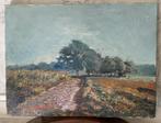 Heide, olie op doek, gesingeerd, Ophalen of Verzenden