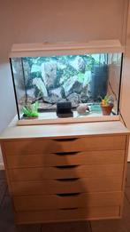 Juwel Aquarium Primo 70 juwel met Ikea kast,, Ophalen, Leeg aquarium