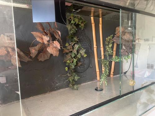 Groot terrarium met 3D wand, Dieren en Toebehoren, Reptielen en Amfibieën | Toebehoren, Gebruikt, Terrarium of Paludarium, Ophalen of Verzenden
