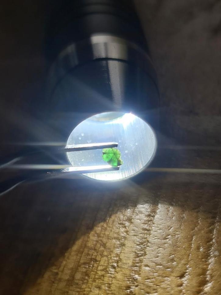 Zeldzame Trapiche - Smaragd uit Muzo, Colombia, Verzamelen, Mineralen en Fossielen, Mineraal, Ophalen of Verzenden