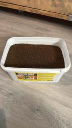 Discus vissen voer, Dieren en Toebehoren, Vissen | Aquariumvissen, Vis, Zoetwatervis, Schoolvis