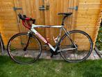 Wilier Triestina Escape Racefiets - maat 54, Gebruikt, Aluminium, 15 tot 20 versnellingen, Dames