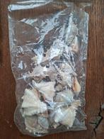 Divers decoratie materiaal, schelpen, wit siergrind  etc., Huis en Inrichting, Woonaccessoires | Overige, Ophalen of Verzenden