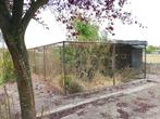 Mega volière / kooi – ook te gebruiken als carport (3 auto's, Dieren en Toebehoren, Ophalen, Volière