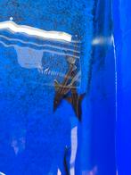 Laatste 2 sterlet steuren 30-35 cm slechts 13,50 pst, Dieren en Toebehoren, Vissen | Vijvervissen, Steur