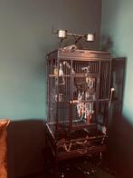Papegaaien kooi, Ophalen of Verzenden, Zo goed als nieuw, Metaal, Vogelkooi