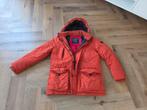 Tommy hilfiger winterjas xl, Kleding | Dames, Ophalen of Verzenden, Gedragen, Maat 46/48 (XL) of groter, Jack