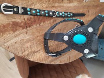 Exclusief hondentuig en halsband  beschikbaar voor biedingen