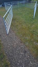 schapenhekjes gegalvaniseerd, Dieren en Toebehoren, Vrouwelijk, Schaap