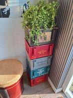 5 oude ijzeren legerkisten, Ophalen, Minder dan 50 cm, Gebruikt, 50 tot 100 cm