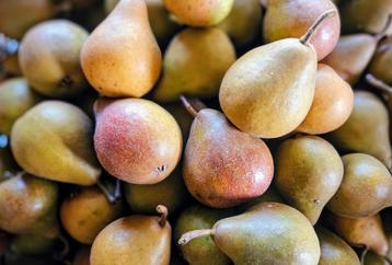 Biologische Stoofperen Gieser Wildeman beschikbaar voor biedingen