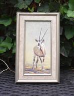 Erik van Ommen: olieverf Gemsbok, Ophalen of Verzenden
