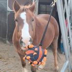 Slowfeeder Wortelbal NIEUW! Premium kwaliteit!!, Dieren en Toebehoren, Ophalen of Verzenden, Nieuw, Overige soorten