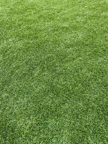 Kunstgras - Dik en Zacht beschikbaar voor biedingen