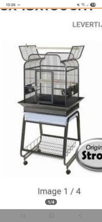 Papegaaien of parkietenkooi top kwaliteit Gaia beschikbaar voor biedingen