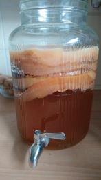 Scoby biologische Kombucha, Ophalen