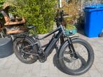 Rad Rhino Plus Power Bike Elektrische Fiets, Overige merken, Gebruikt, Ophalen of Verzenden, 50 km per accu of meer