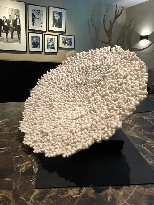 Decoratief koraal op sokkel, Huis en Inrichting, Woonaccessoires | Kunstplanten en Kunstbloemen, Zo goed als nieuw, Ophalen