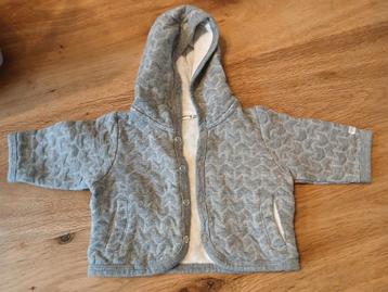 Dun jasje. Grijs, maat 50 Prenatal beschikbaar voor biedingen