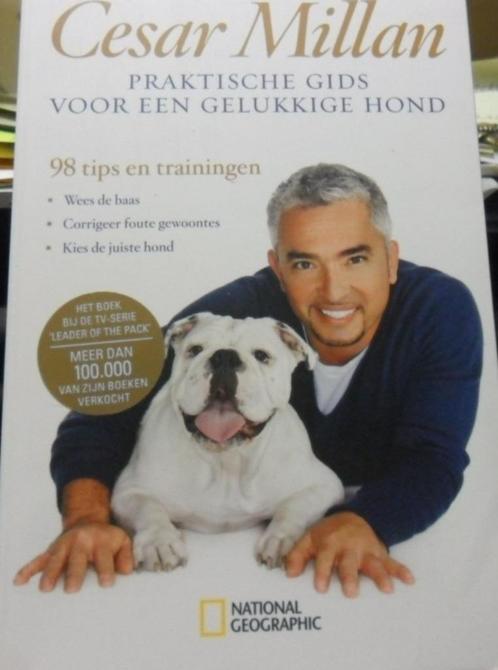 Praktische gids voor een gelukkige hond? Cesar Millan, Boeken, Dieren en Huisdieren, Zo goed als nieuw, Honden, Verzenden