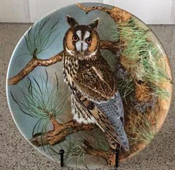 Hallo wijze uil 🦉 beschikbaar voor biedingen