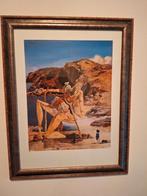 Mooi ingelijste poster Salvador Dali, Ophalen