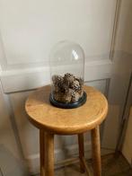 Kleine glazen stolp, Ophalen