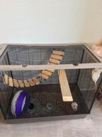 Ratten+kooi, Dieren en Toebehoren, Ophalen of Verzenden