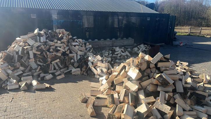 Vers gekloofd haardhout eik/beuk/es, Tuin en Terras, Haardhout, Blokken, Eikenhout, 3 tot 6 m³, Ophalen of Verzenden