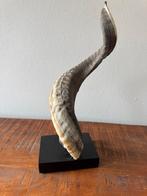 Geiten schapenhoorn koeienhoorn op statief, Ophalen