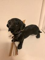 Teckel zwart beeld polystone nieuw, Ophalen, Nieuw, Dier