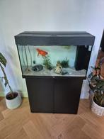 JUWEL Aquarium Rio incl. onderkast LED zwart 125L, 81x36x123, Dieren en Toebehoren, Vissen | Aquaria en Toebehoren, Ophalen, Zo goed als nieuw
