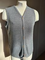 Mouwloos vest/gilet Comfortabel merinowol €59.95 vaste prijs, Kleding | Heren, Truien en Vesten, Verzenden, Grijs, Cavallaro Napoli