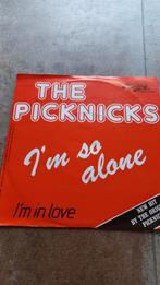 The Picknicks, Cd's en Dvd's, Ophalen of Verzenden