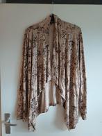 Vestje Biaginni, maat 48, Kleding | Dames, Grote Maten, Ophalen of Verzenden, A, A, A