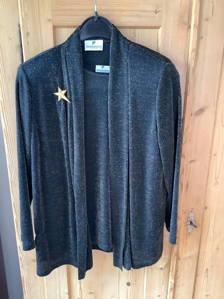 Frank Walder twinset Kerstmis Frankwalder, Kleding | Dames, Blouses en Tunieken, Ophalen of Verzenden