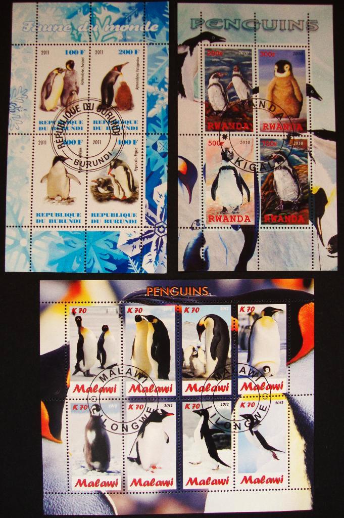 - 666 - 3 blokjes/ Blokken met Pinguins., Postzegels en Munten, Postzegels | Thematische zegels, Gestempeld, Dier of Natuur, Verzenden