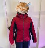 Dames ski jas, Ophalen of Verzenden, Zo goed als nieuw, Maat 38/40 (M), Jack
