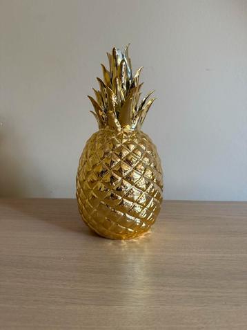 Pols potten ananas (beschadigd) beschikbaar voor biedingen