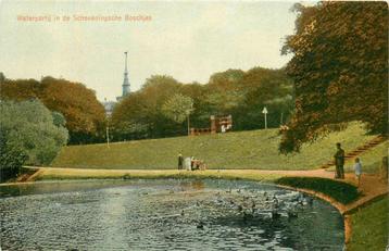 (701-043-023) Den Haag Scheveningsche Boschjes beschikbaar voor biedingen