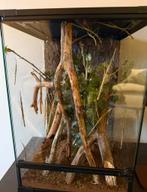 Wandelende takken - Indisch, Ophalen, Zo goed als nieuw