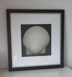 Mooie lijst met afbeelding schelp, Huis en Inrichting, Ophalen, 50 tot 75 cm, Zo goed als nieuw, 50 tot 75 cm
