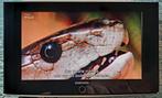 Samsung LE-26S81B. incl; Afstandbediening., Ophalen, Gebruikt, 50 Hz, Samsung