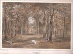 Oegstgeest Kasteel Endegeest Litho 1859, Antiek en Kunst, Ophalen of Verzenden