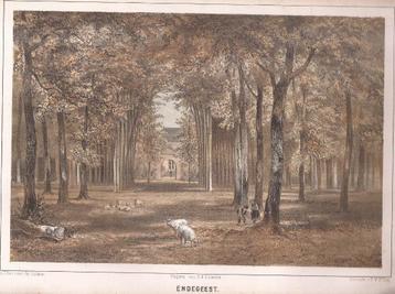 Oegstgeest Kasteel Endegeest Litho 1859 beschikbaar voor biedingen
