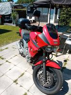 Yamaha TDM 850, Particulier, Toermotor